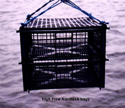 Aquatech Trays in use