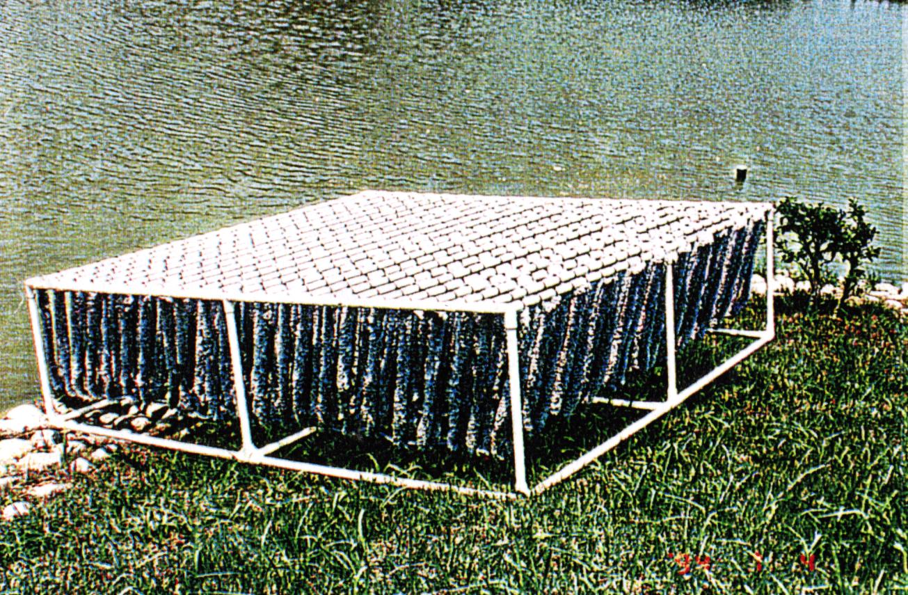 Bio-Cord module for fish farm settling in pond