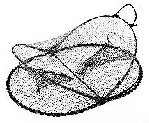 Fish Traps